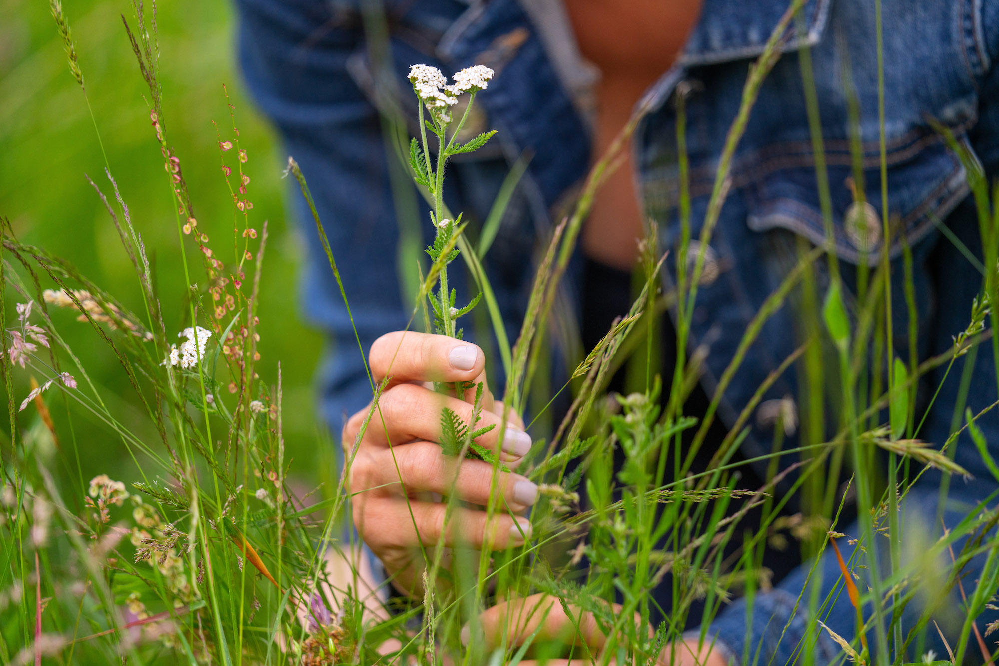 Petra Plimon auf der Wiese