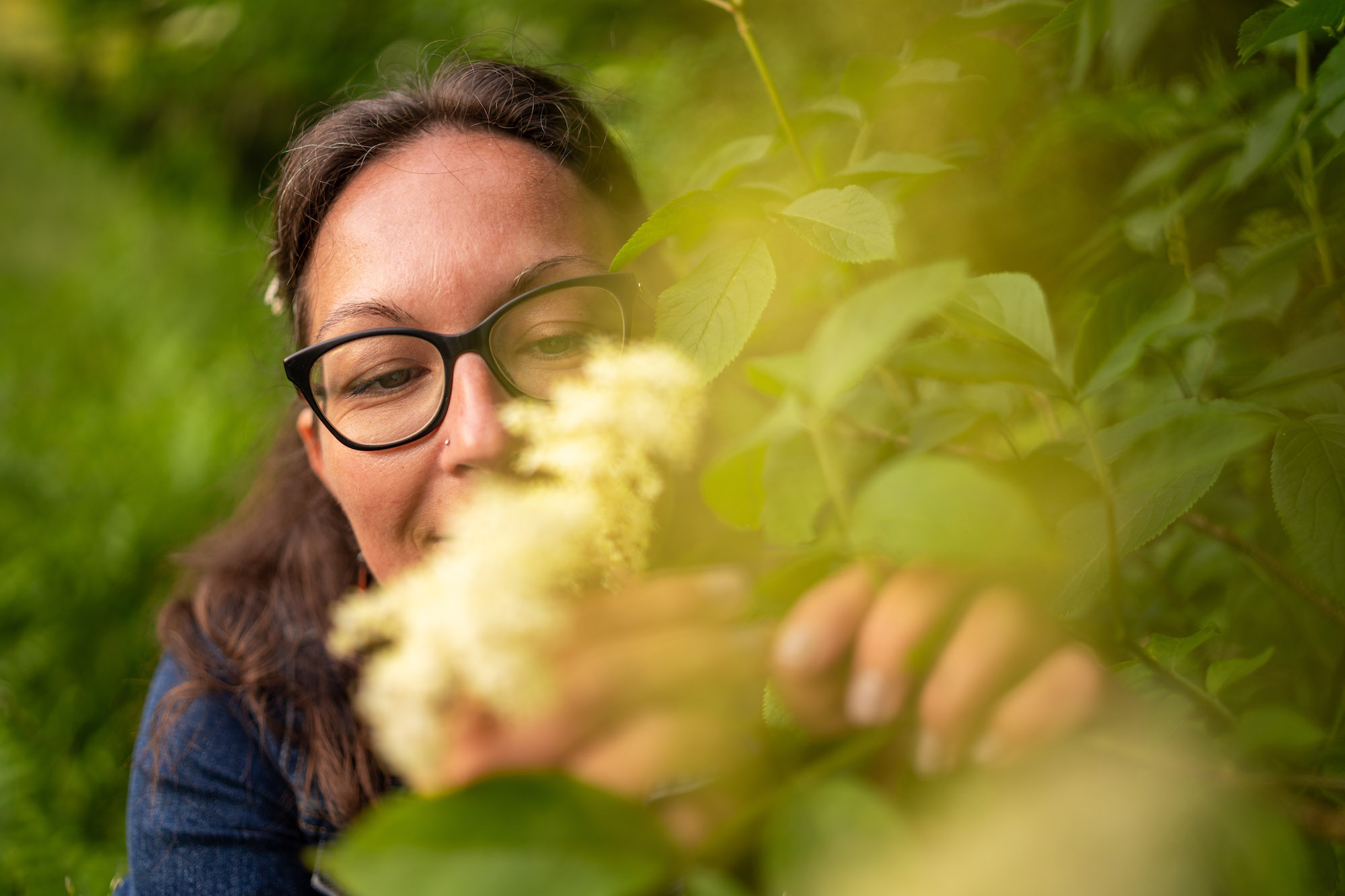 Petra Plimon und Hollunder